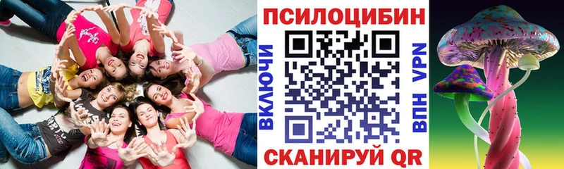 где продают   Усинск  Галлюциногенные грибы Psilocybine cubensis 
