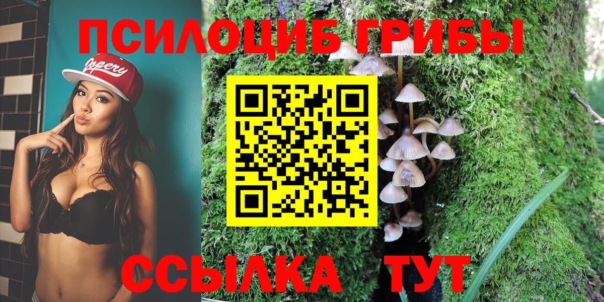 Галлюциногенные грибы Psilocybine cubensis Усинск