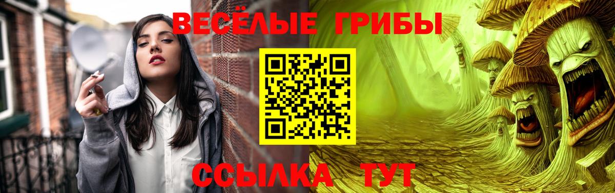 Усинск  Псилоцибиновые грибы GOLDEN TEACHER  Вход с VPN 